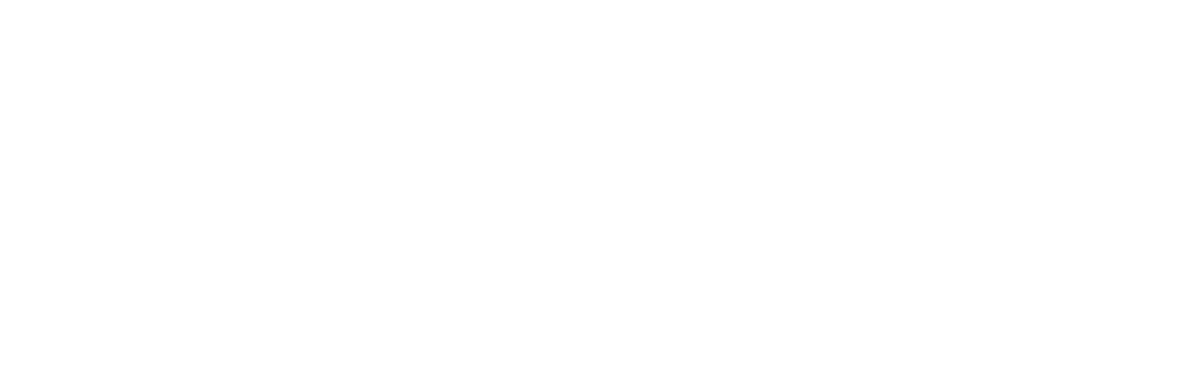 YV DIGITAL